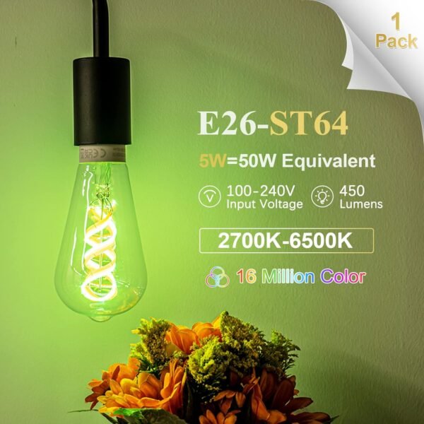 DiCUNO Smart Edison Bulb ST64, Color Changing WiFi Smart Light Bulb, Vinatge ST21 Filament Bulb Compatible with Alexa & Google, Dimmable with App, 50 Watt Equivalent 450LM, No Hub Required, 1 Pack - Image 2