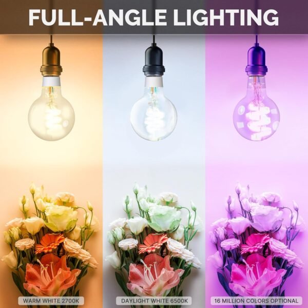 MOES Smart G80 Edison LED Light Bulbs, Color Changing WiFi G25 Smart Bulbs, 2700K-6500K CW& RGB Dimmable, Smart Life Remote Control, Work with Alexa/Google Home, 450lm 5W (50W Equivalent) 2 Pack - Image 3