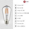 Edison ST19(ST64) WiFi LED Smart Bulb, Filament Vintage Style, Tunable White Changing, Compatible with Alexa Google Home (No Hub), E26, 2700K-6500K, 2Pack, Daylight White, 5watt - Image 6