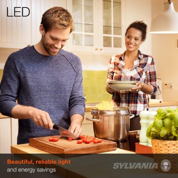 SYLVANIA ECO LED A19 Light Bulb, 60W Equivalent Efficient 9W, 7 Year, 750 Lumens, Medium Base, Frosted, 2700K, Soft White - 24 Count (Pack of 1)(40986) - Image 2