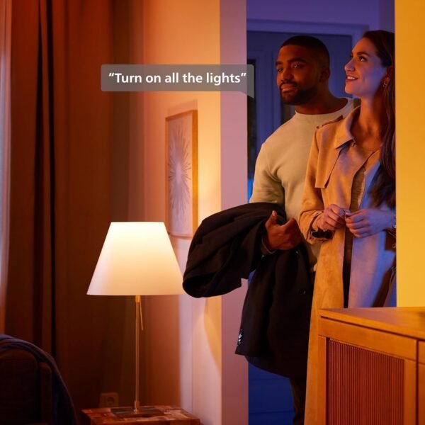 Philips Hue Indoor/Outdoor Holiday 130-Foot Festavia String Lights - 500 Mini Color Changing Smart LEDs - Weatherproof - Control with Hue App - Works with Alexa, Google Assistant and Apple HomeKit - Image 6