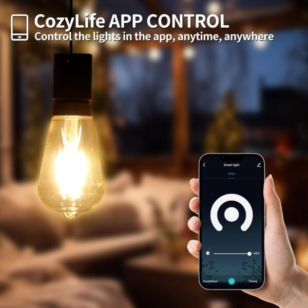 PALULU Smart ST64 LED Vintage Edison Filament Bulb, 2700K, 6W (60W Equivalent), Dimmable, E26 Base, Control with App, Compatible with Alexa and Google Assistant, Only 2.4 GHz Wi-Fi, 2 Pack (Clear) - Image 2